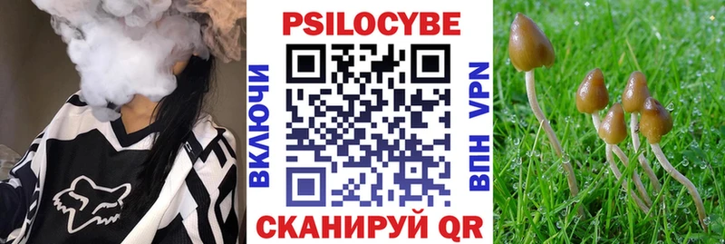 дарнет шоп  Муравленко  Псилоцибиновые грибы мухоморы 